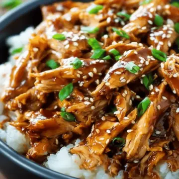 Slow Cooker Teriyaki Chicken