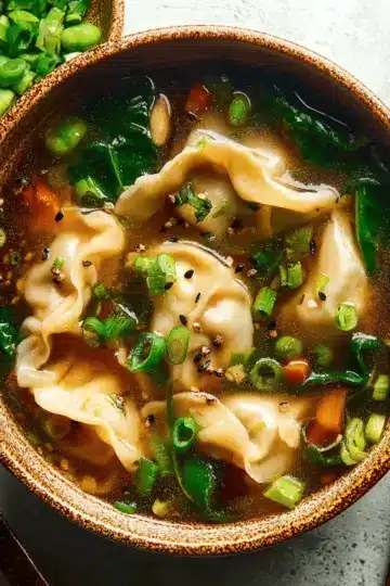 Easy Potsticker Soup Recipe