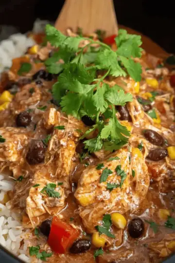 Crock Pot Fiesta Chicken Recipe