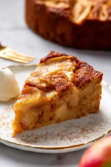 Tender Gluten Free Apple Cake