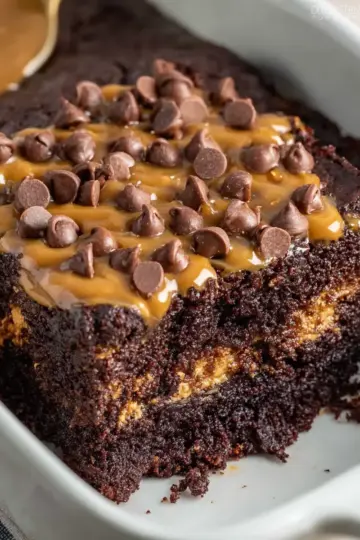 Chocolate Peanut Butter Dump Cake