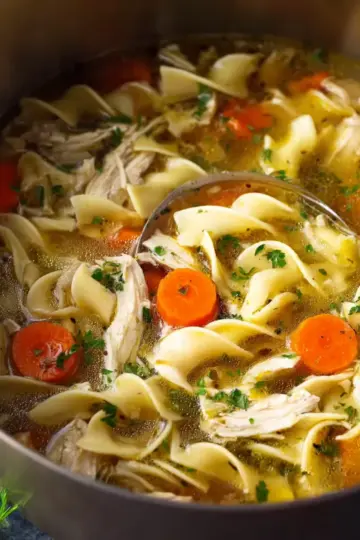 Chicken Noodle Soup